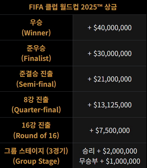 축구 스포츠 월드컵 클럽월드컵 우승 상금