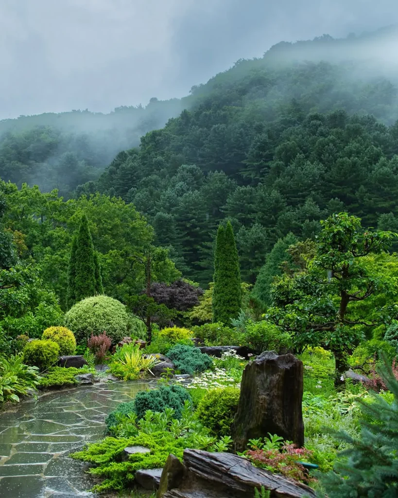 秋の風情を満喫!今すぐ行きたいソウル近郊の樹木園4選 1 서울 근교 수목원 주말 나들이 핫플레이스