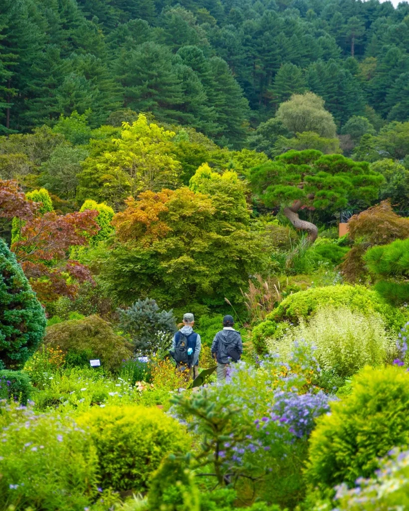 秋の風情を満喫!今すぐ行きたいソウル近郊の樹木園4選 2 서울 근교 수목원 주말 나들이 핫플레이스