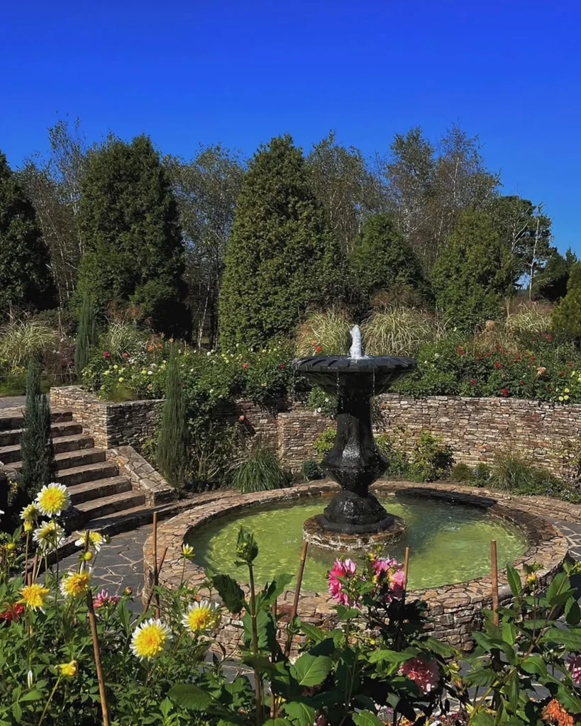 秋の風情を満喫!今すぐ行きたいソウル近郊の樹木園4選 4 서울 근교 수목원 주말 나들이 핫플레이스