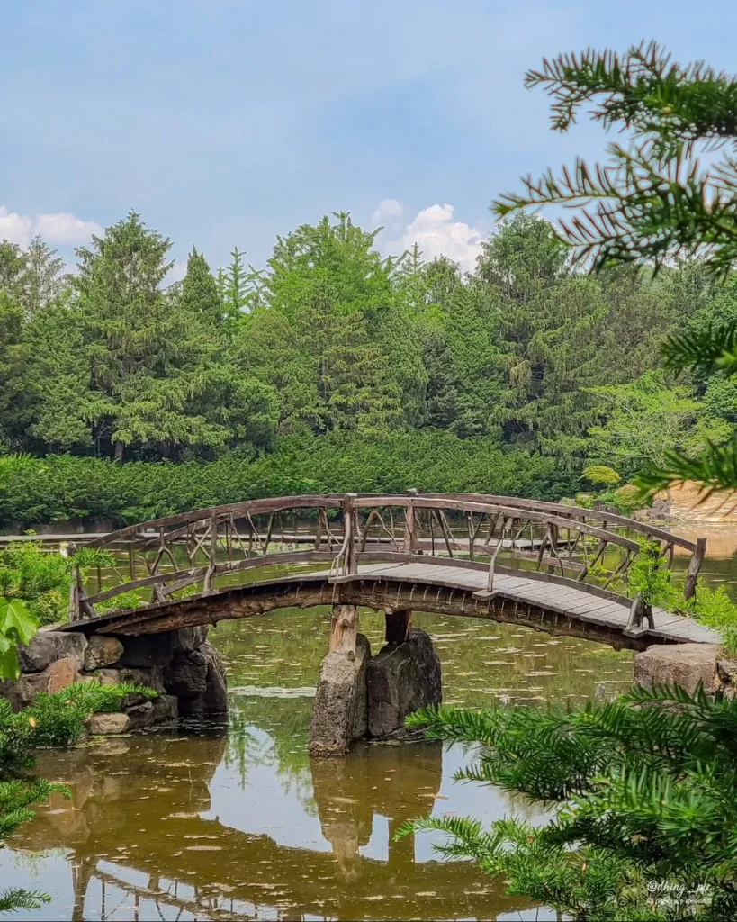 秋の風情を満喫!今すぐ行きたいソウル近郊の樹木園4選 5 서울 근교 수목원 주말 나들이 핫플레이스