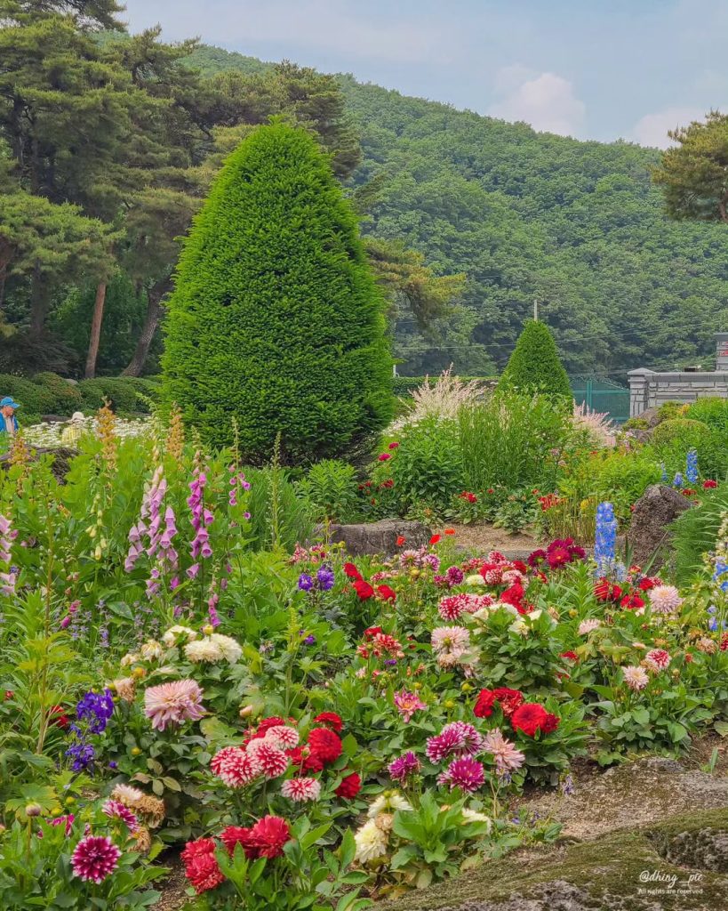秋の風情を満喫!今すぐ行きたいソウル近郊の樹木園4選 6 서울 근교 수목원 주말 나들이 핫플레이스