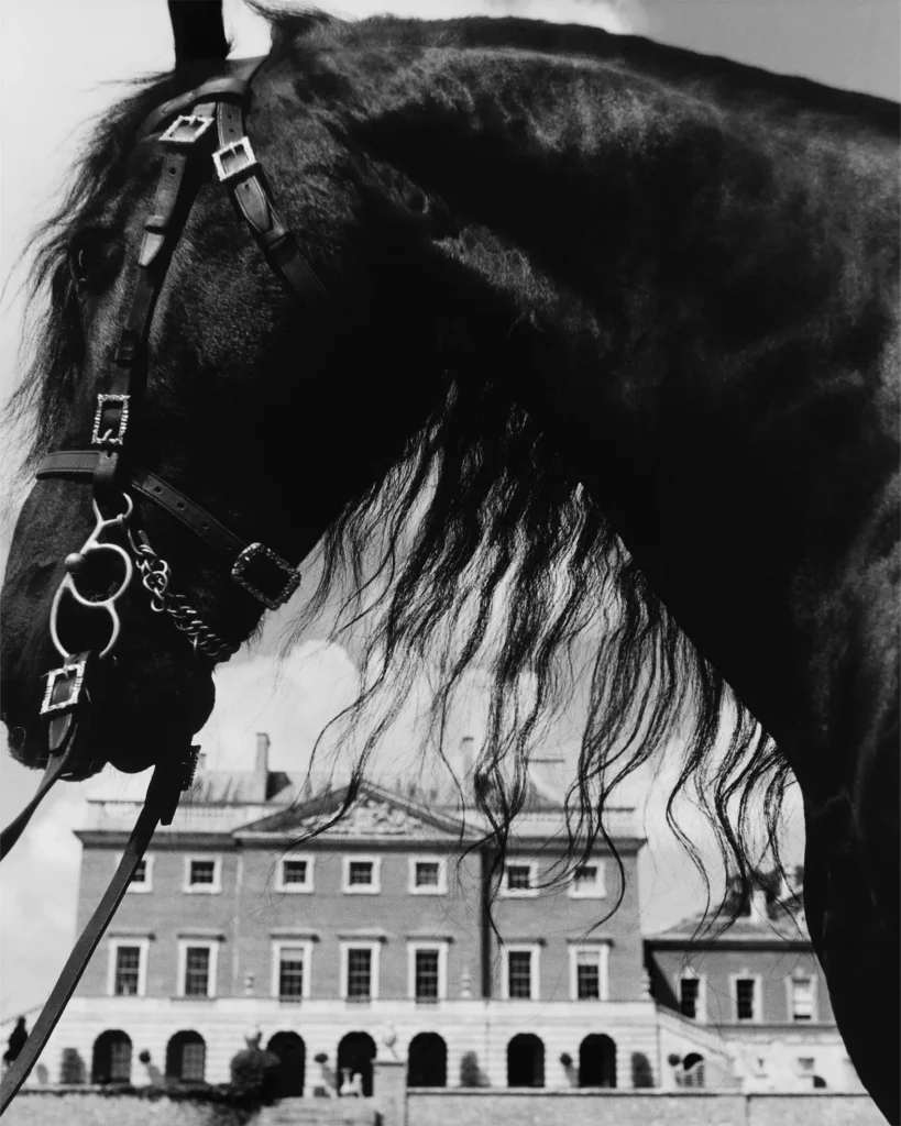 버버리 2025 겨울 캠페인 'A Grand Escape': 영국의 낭만을 입다 16 버버리 fw 겨울 아웃터 낭만 영국 패션 명품 럭셔리 헤리티지 브라이들백