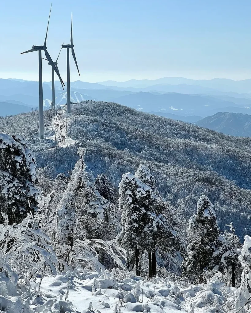 올겨울 놓치지 말아야 할 국내 눈꽃 산행 코스 6 2 등산 겨울 눈 눈꽃 산행 코스 국내