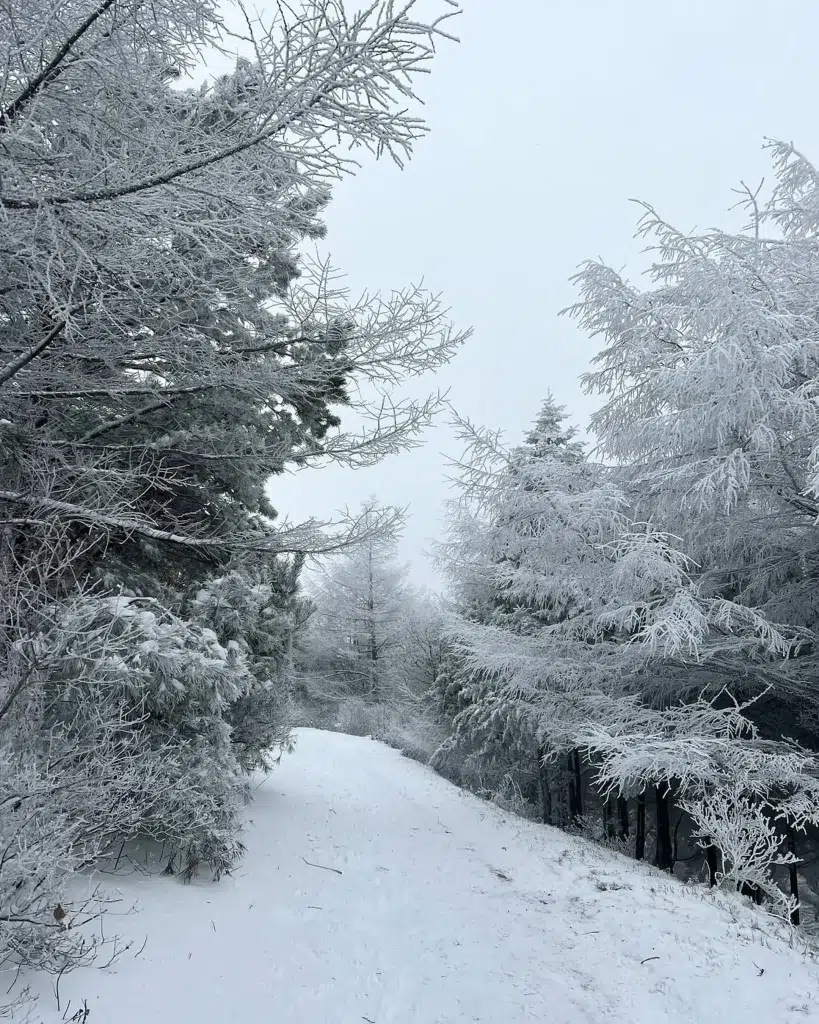 올겨울 놓치지 말아야 할 국내 눈꽃 산행 코스 6 6 등산 겨울 눈 눈꽃 산행 코스 국내